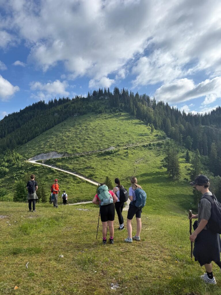 Wandergruppe auf Almweg in den österreichischen Alpen bei Schönwetter